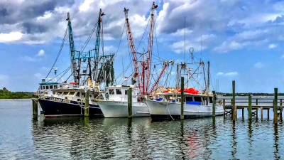Fishing with Miami Florida Fishing Charters