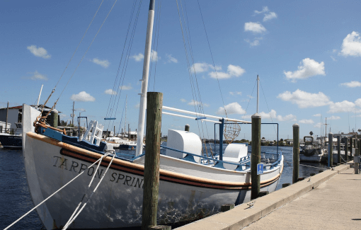 Private Fishing Session In Miami Florida 