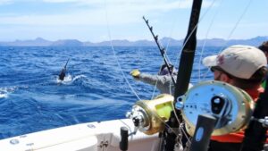 Inshore Fishing vs Deep Sea Fishing in Miami
