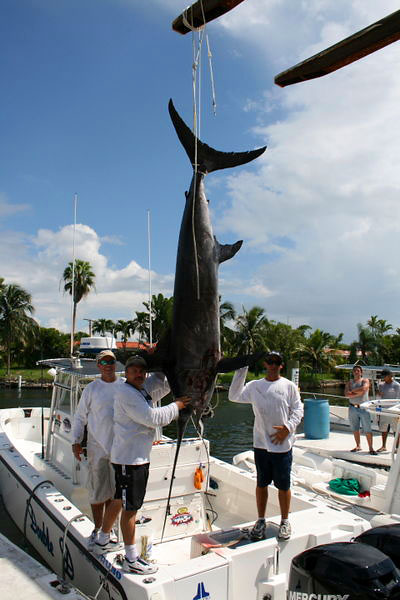 Miami Fishing Seasons for Deep Sea Fishing