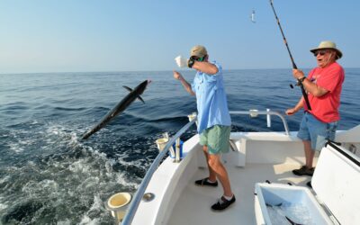 Miami Fishing Seasons for Deep Sea Fishing