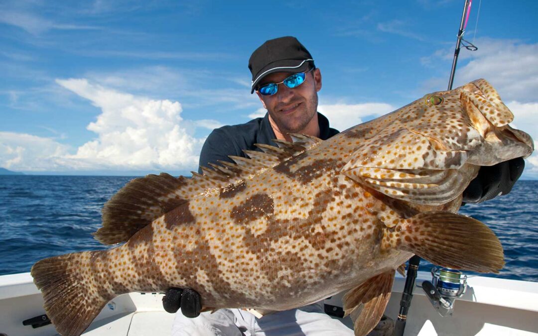 Fun Fish to Catch When Deep Sea Fishing in Miami