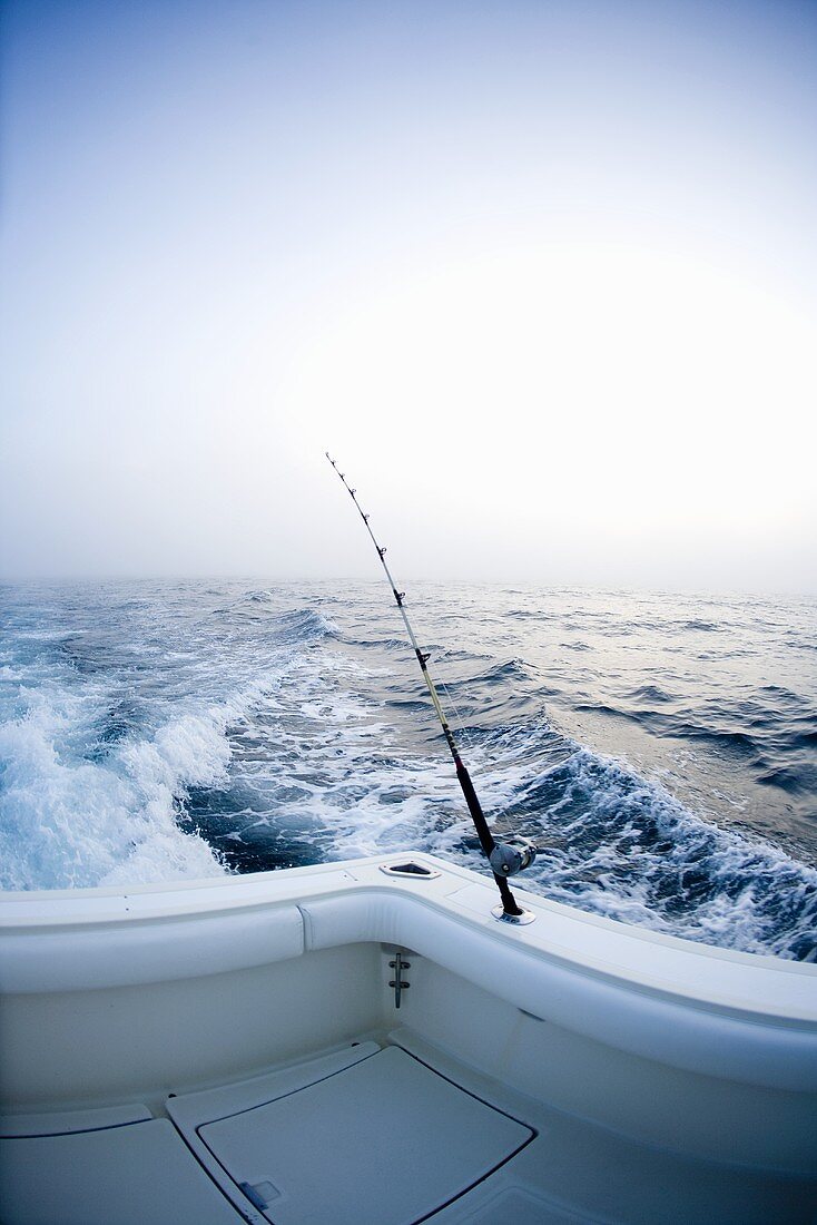 Plan for Your Next Fishing Trip to Miami