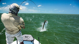 Miami Fishing Season for Inshore Fish