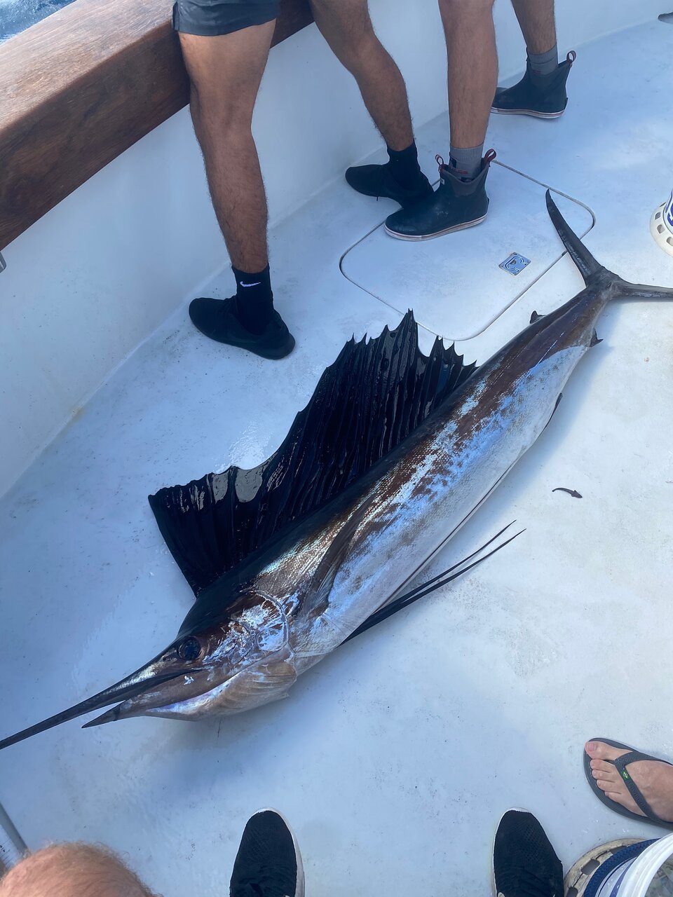 Wahoo Fishing in Miami - Double Threat Charters