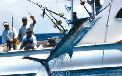 What’s a Miami Sportfishing Charter?