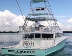 Why Book an Offshore Fishing Charter in Miami?