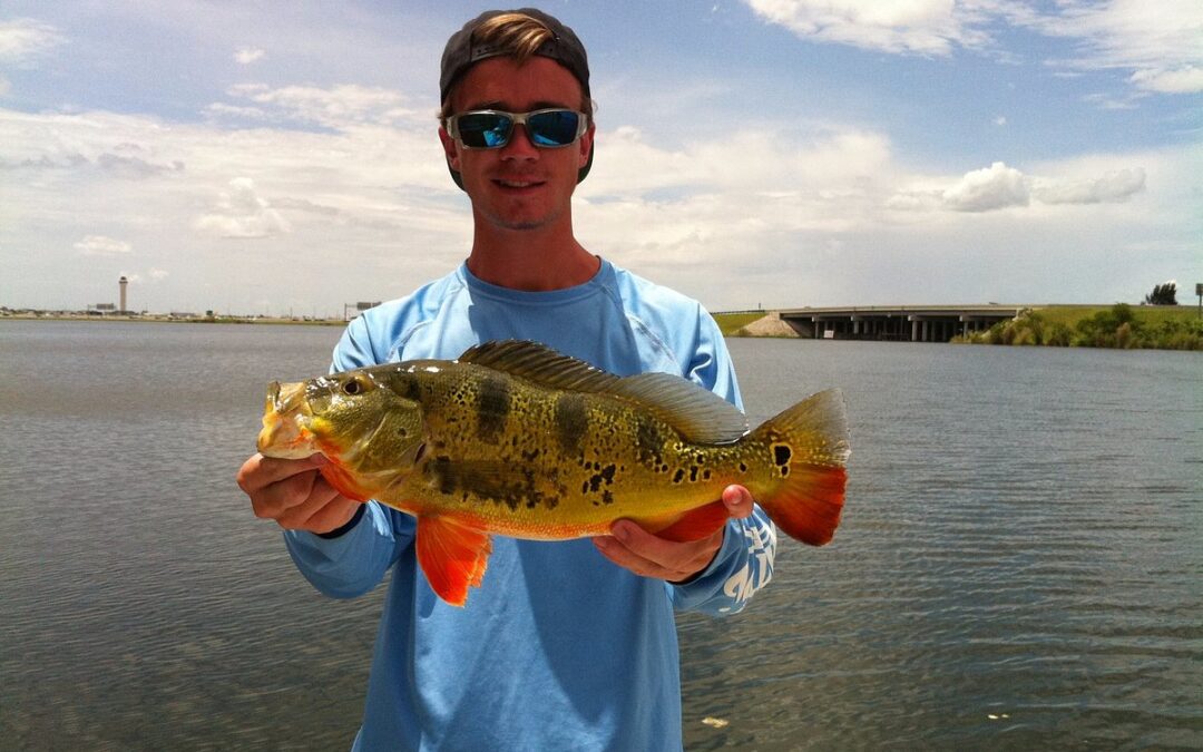 What is the Best Fish to Catch in Miami Florida?