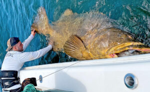 Best Fish to Catch in Miami Florida