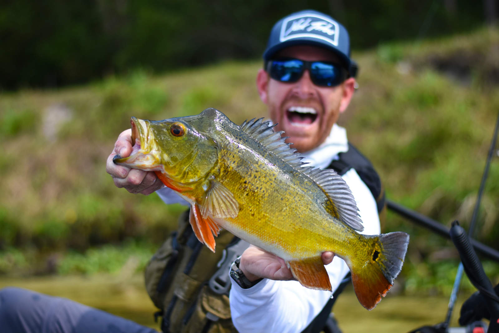 Peacock Bass Fishing in Miami