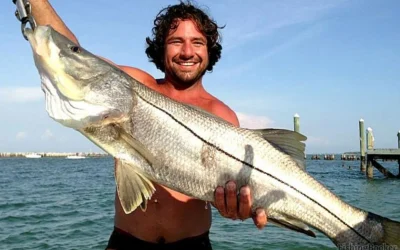 Everything You Need to Know About Miami Snook Fishing