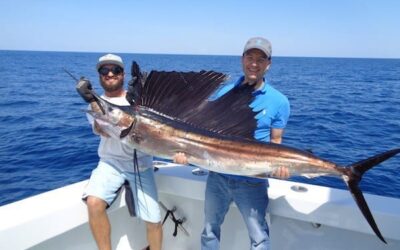A Guide to Catching Sailfish in Miami